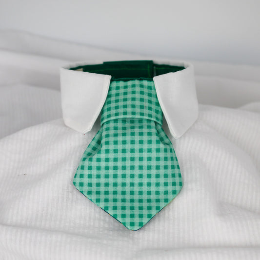 Seaside Gingham