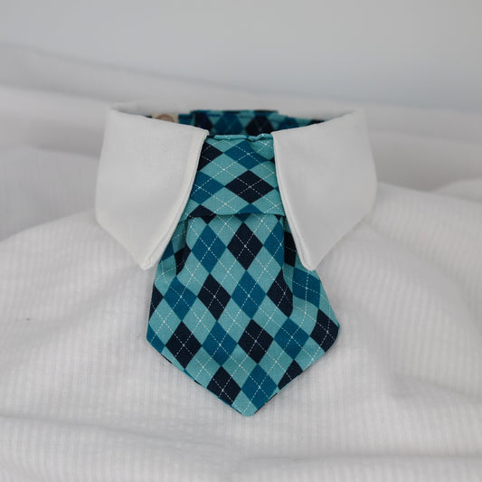 Blue Argyle