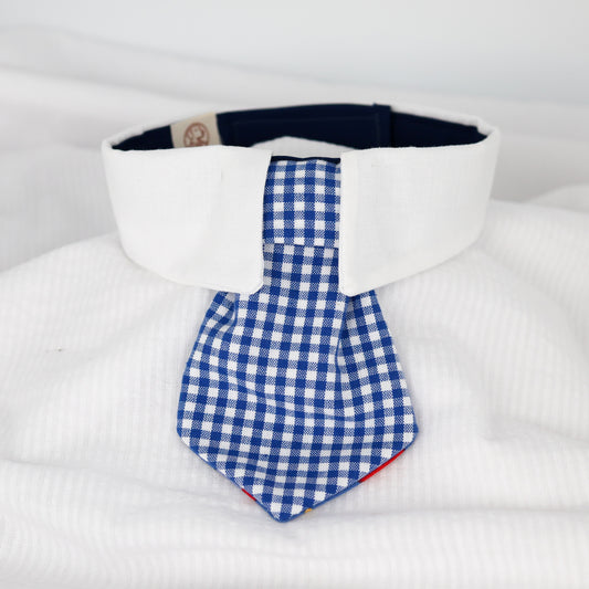 Royal Blue Gingham
